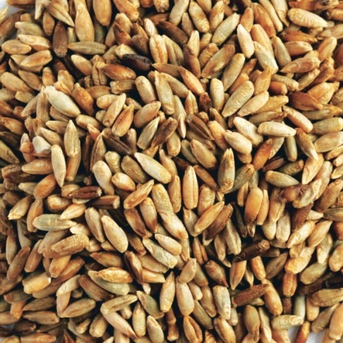 Kialla Organic Rye Grain technical