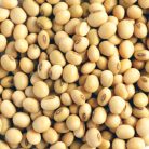 organic soya beans 400g