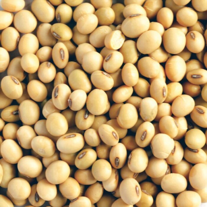 organic soya beans 400g organic soya beans 400g