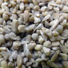 organic sunflower kernels 300g