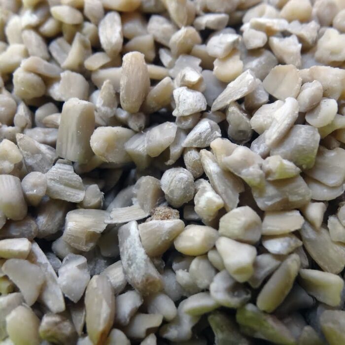 organic sunflower kernels 300g