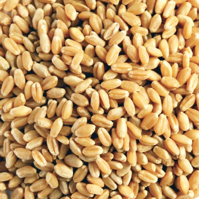 organic wheat grain 400g 2