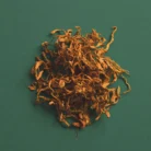 Fuel_-_Cordyceps