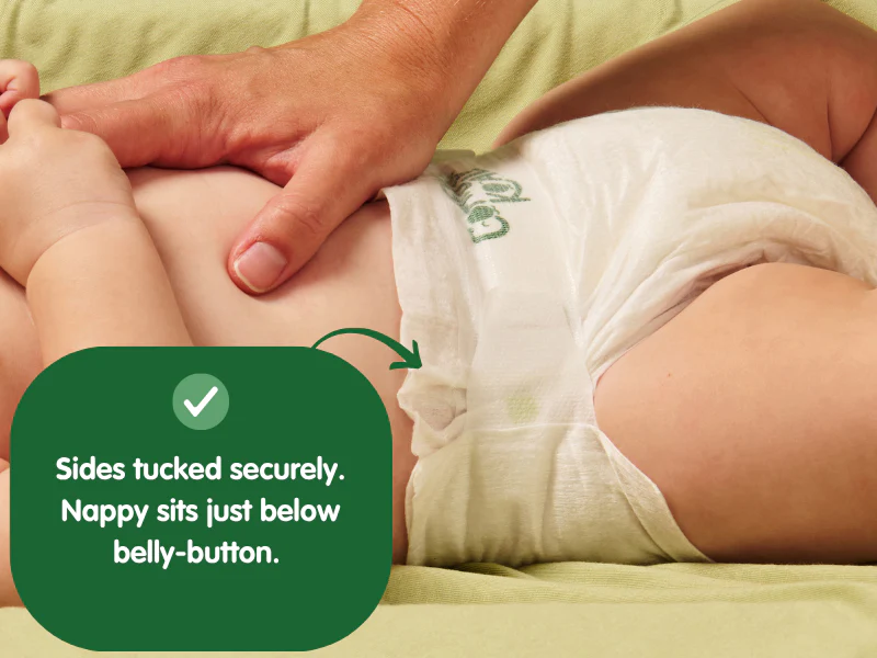 Comfy Koalas Eco Friendly Nappies - Starter Pack, Nappy Pants 37