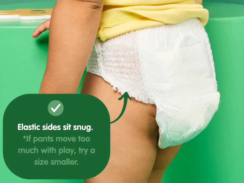 Comfy Koalas Eco Friendly Nappies - Starter Pack, Nappy Pants 41