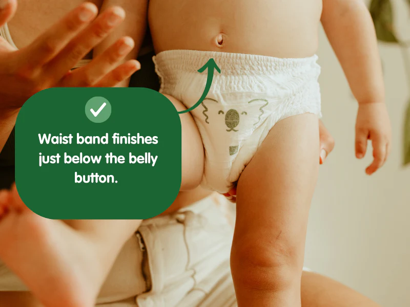 Comfy Koalas Eco Friendly Nappies - Starter Pack, Nappy Pants 43